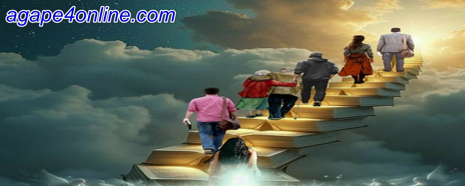 5- 在后续跟进之前、期间和之后，您会做什么？A（2）