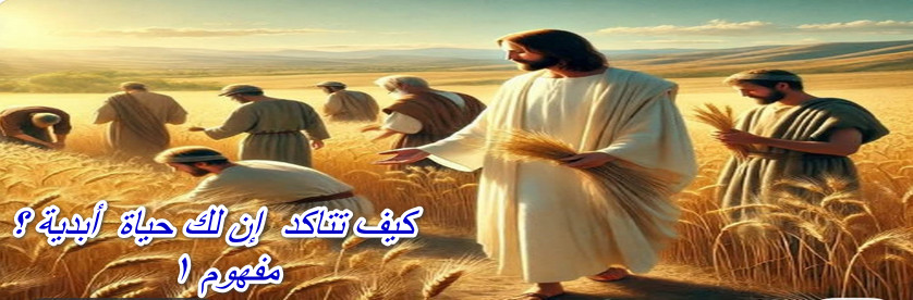 你如何确定自己拥有永生？概念1